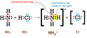 Amonyum koordine kovalent bağ